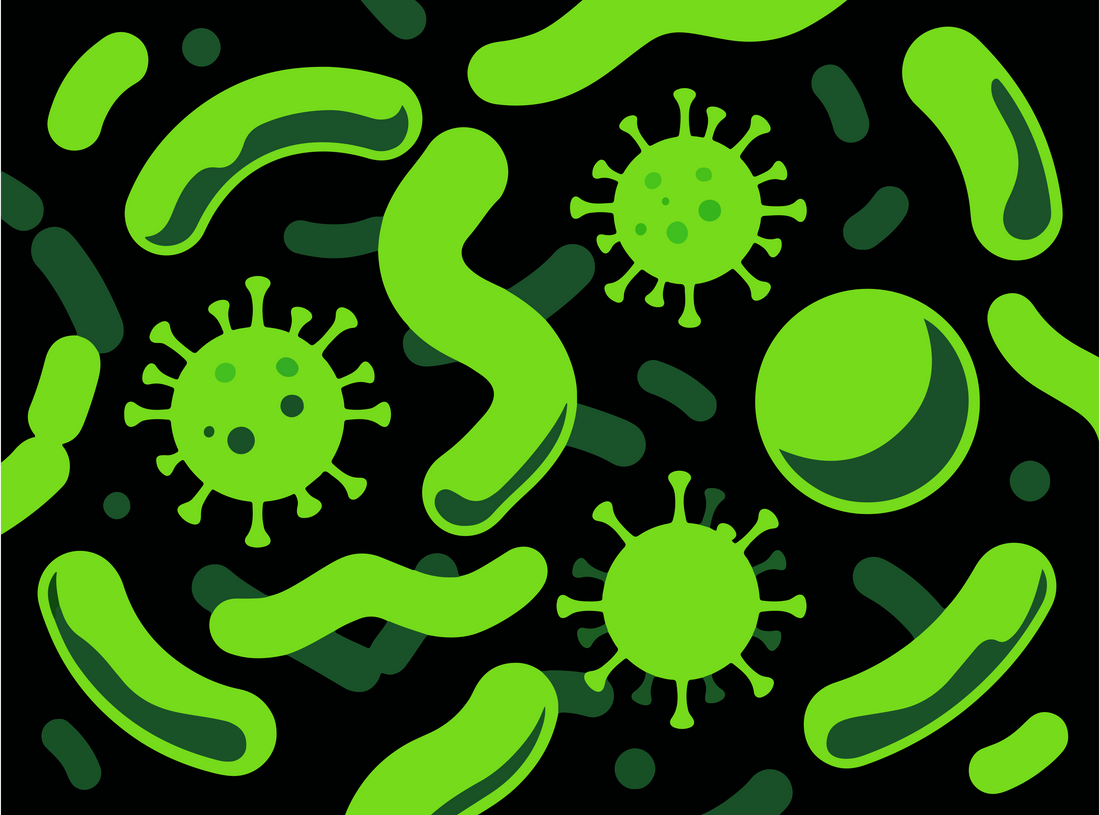 Probiotics: What They Help With and Who May Need Them