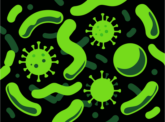 Probiotics: What They Help With and Who May Need Them