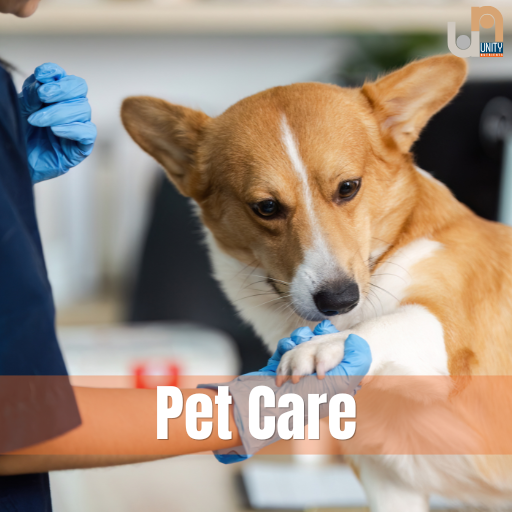 Pet Care