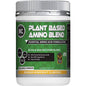 INC. Plant Based Amino Mango Kiwi 300g