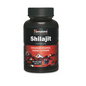 Himalaya Shilajit 60 Capsules.